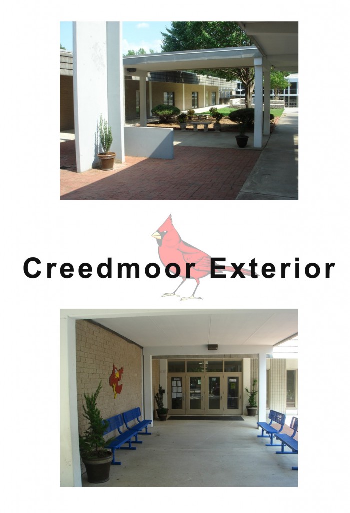 Design Lines & Creedmoor Elementary School Makeover (7)