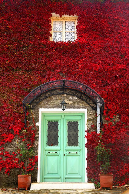 Red Leaves Green Door